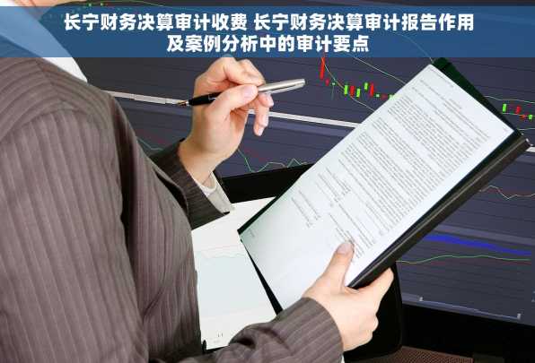 长宁财务决算审计收费 长宁财务决算审计报告作用及案例分析中的审计要点