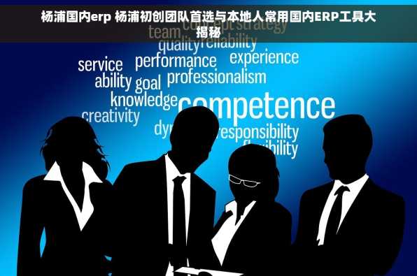 杨浦国内erp 杨浦初创团队首选与本地人常用国内ERP工具大揭秘