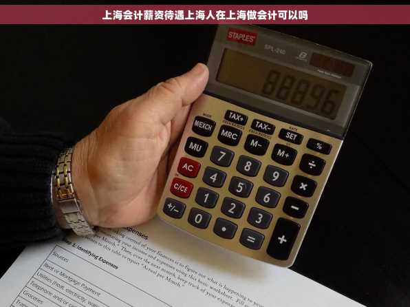 上海会计薪资待遇上海人在上海做会计可以吗