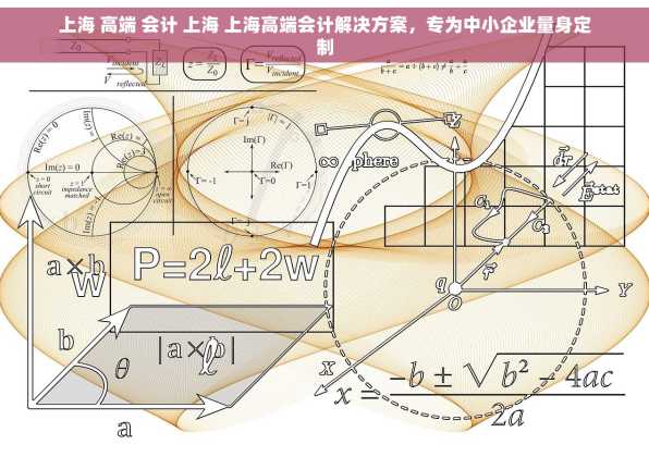上海 高端 会计 上海 上海高端会计解决方案，专为中小企业量身定制
