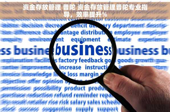 资金存放管理 普陀 资金存放管理普陀专业指导，效率提升%