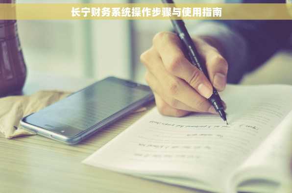 长宁财务系统操作步骤与使用指南