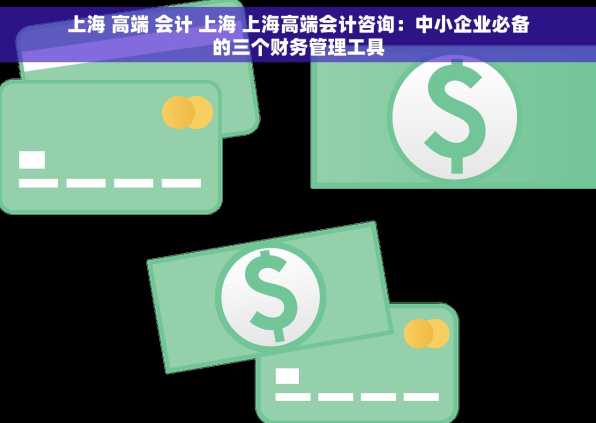 上海 高端 会计 上海 上海高端会计咨询：中小企业必备的三个财务管理工具