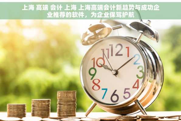 上海 高端 会计 上海 上海高端会计新趋势与成功企业推荐的软件，为企业保驾护航