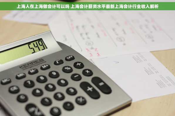 上海人在上海做会计可以吗 上海会计薪资水平最新上海会计行业收入解析