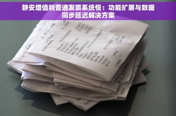 静安增值税普通发票系统慢：功能扩展与数据同步延迟解决方案
