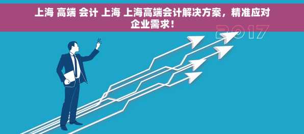 上海 高端 会计 上海 上海高端会计解决方案，精准应对企业需求！