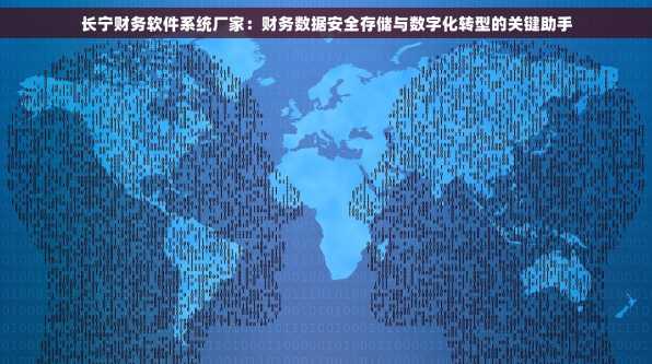 长宁财务软件系统厂家：财务数据安全存储与数字化转型的关键助手