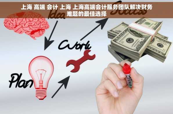 上海 高端 会计 上海 上海高端会计服务团队解决财务难题的最佳选择