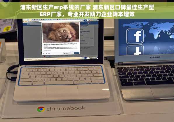 浦东新区生产erp系统的厂家 浦东新区口碑最佳生产型ERP厂家，专业开发助力企业降本增效