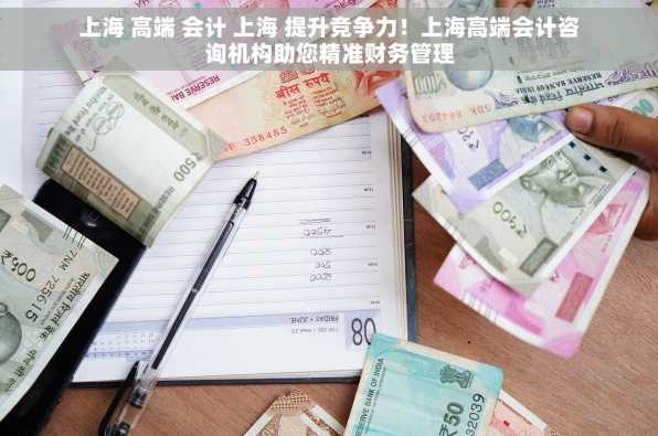 上海 高端 会计 上海 提升竞争力！上海高端会计咨询机构助您精准财务管理