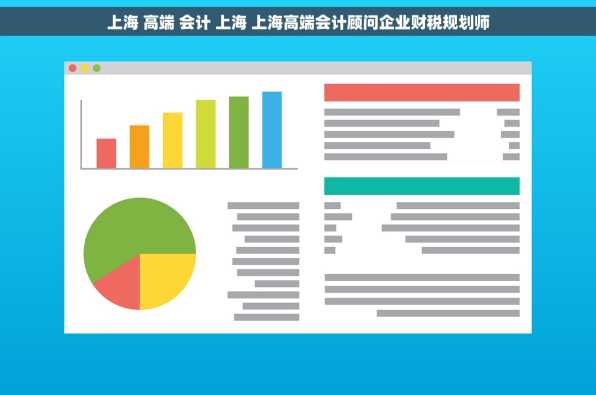 上海 高端 会计 上海 上海高端会计顾问企业财税规划师
