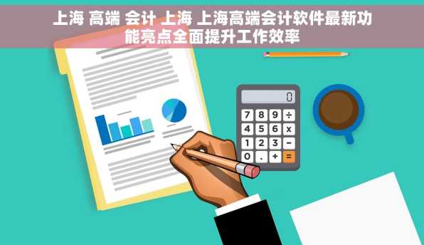 上海 高端 会计 上海 上海高端会计软件最新功能亮点全面提升工作效率