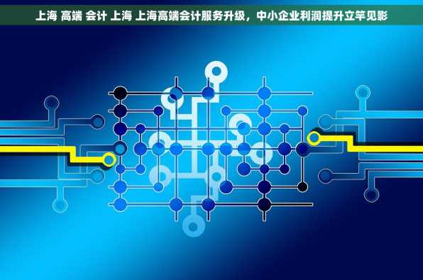 上海 高端 会计 上海 上海高端会计服务升级，中小企业利润提升立竿见影