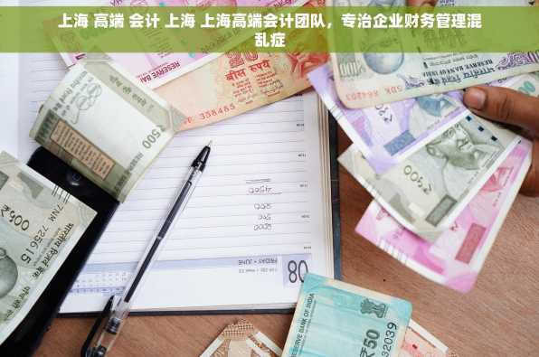 上海 高端 会计 上海 上海高端会计团队，专治企业财务管理混乱症