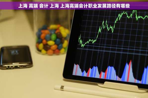 上海 高端 会计 上海 上海高端会计职业发展路径有哪些
