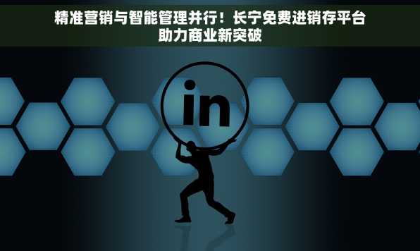 精准营销与智能管理并行！长宁免费进销存平台助力商业新突破