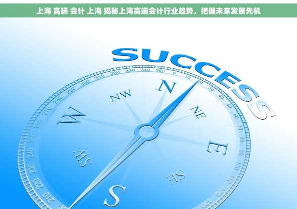 上海 高端 会计 上海 揭秘上海高端会计行业趋势，把握未来发展先机