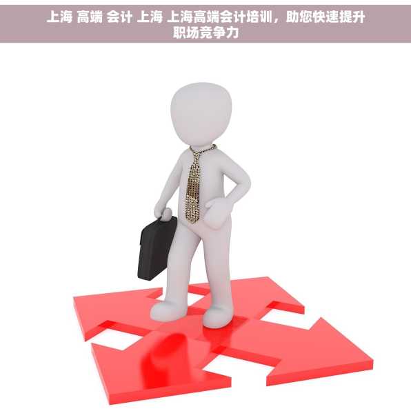 上海 高端 会计 上海 上海高端会计培训，助您快速提升职场竞争力