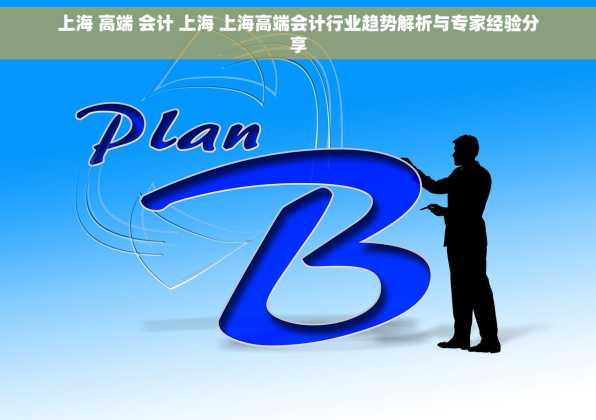 上海 高端 会计 上海 上海高端会计行业趋势解析与专家经验分享