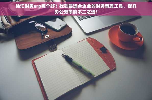 徐汇财务erp哪个好？找到最适合企业的财务管理工具，提升办公效率的不二之选！