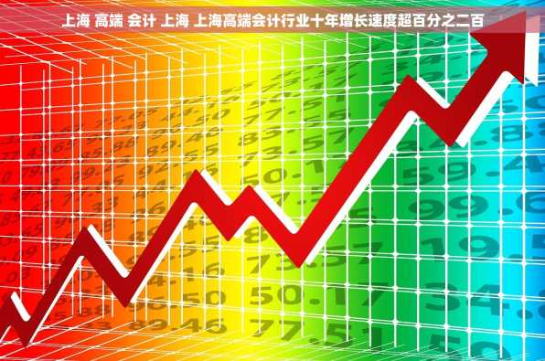 上海 高端 会计 上海 上海高端会计行业十年增长速度超百分之二百