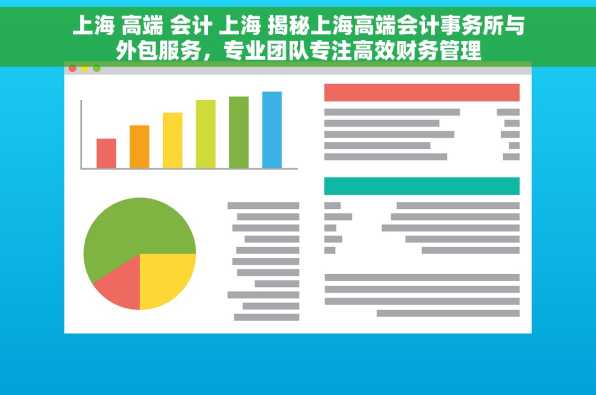 上海 高端 会计 上海 揭秘上海高端会计事务所与外包服务，专业团队专注高效财务管理