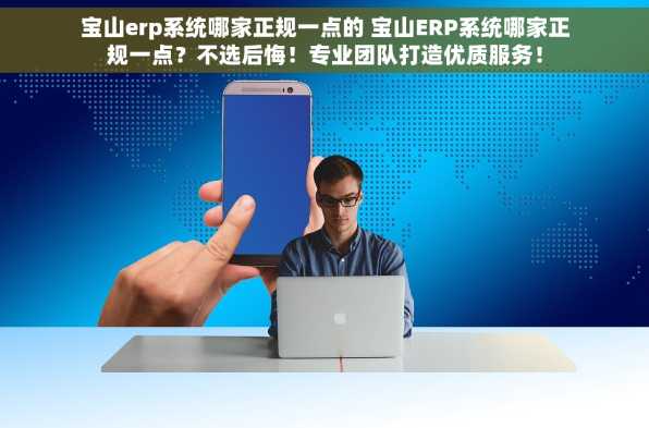 宝山erp系统哪家正规一点的 宝山ERP系统哪家正规一点？不选后悔！专业团队打造优质服务！