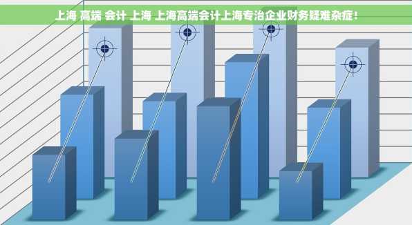 上海 高端 会计 上海 上海高端会计上海专治企业财务疑难杂症！