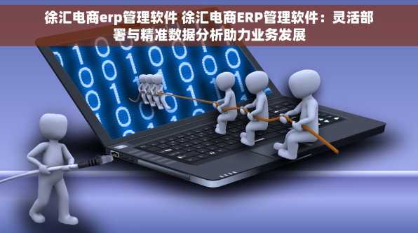 徐汇电商erp管理软件 徐汇电商ERP管理软件：灵活部署与精准数据分析助力业务发展