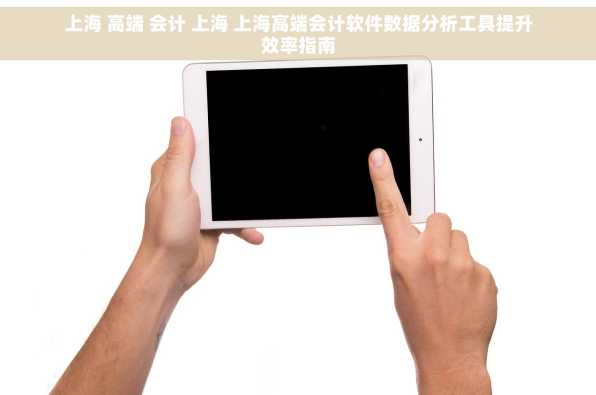 上海 高端 会计 上海 上海高端会计软件数据分析工具提升效率指南