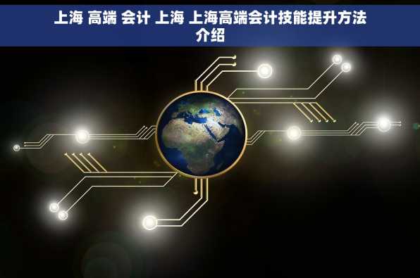 上海 高端 会计 上海 上海高端会计技能提升方法介绍