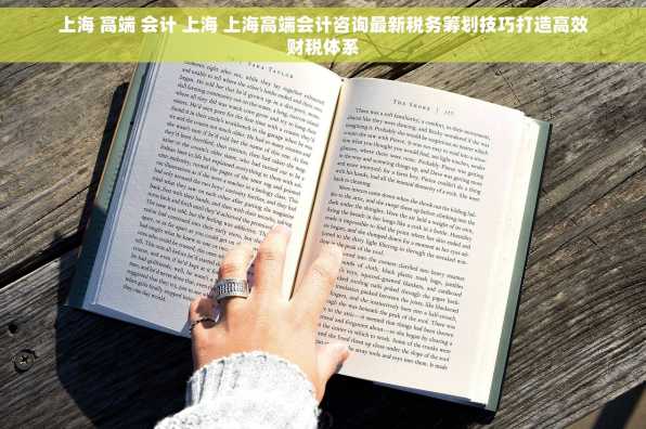 上海 高端 会计 上海 上海高端会计咨询最新税务筹划技巧打造高效财税体系