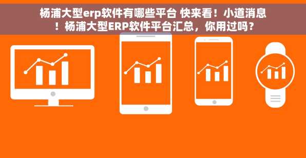 杨浦大型erp软件有哪些平台 快来看！小道消息！杨浦大型ERP软件平台汇总，你用过吗？