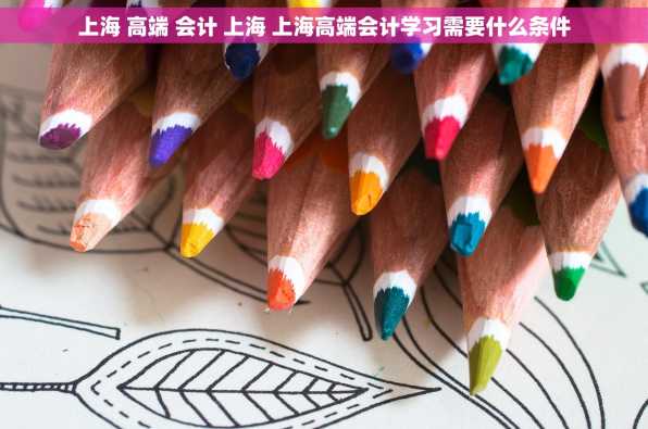 上海 高端 会计 上海 上海高端会计学习需要什么条件