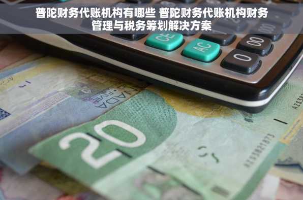 普陀财务代账机构有哪些 普陀财务代账机构财务管理与税务筹划解决方案
