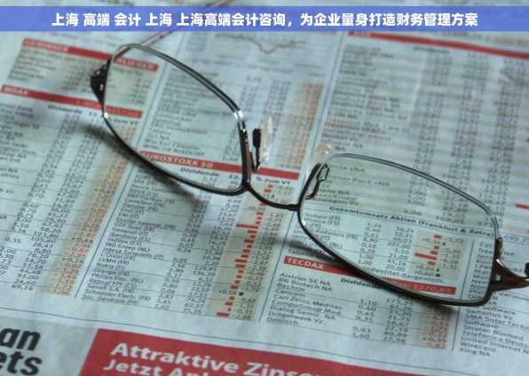 上海 高端 会计 上海 上海高端会计咨询，为企业量身打造财务管理方案