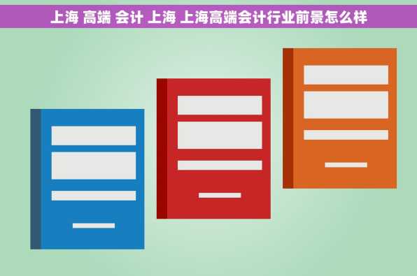 上海 高端 会计 上海 上海高端会计行业前景怎么样