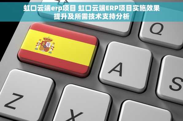 虹口云端erp项目 虹口云端ERP项目实施效果提升及所需技术支持分析