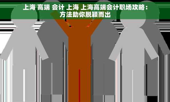 上海 高端 会计 上海 上海高端会计职场攻略：方法助你脱颖而出