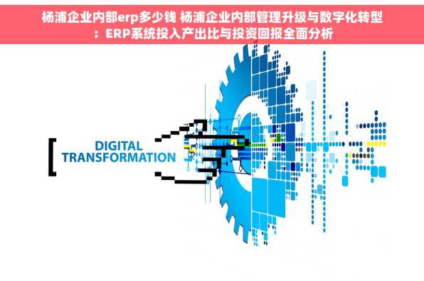 杨浦企业内部erp多少钱 杨浦企业内部管理升级与数字化转型：ERP系统投入产出比与投资回报全面分析
