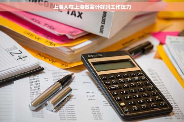 上海人在上海做会计好吗工作压力