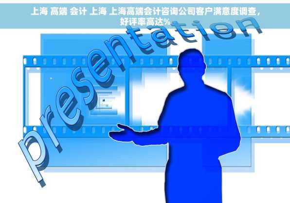 上海 高端 会计 上海 上海高端会计咨询公司客户满意度调查，好评率高达%