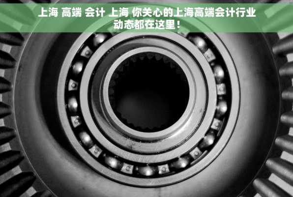 上海 高端 会计 上海 你关心的上海高端会计行业动态都在这里！
