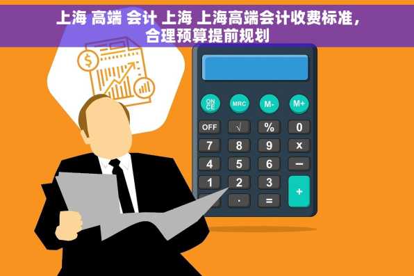 上海 高端 会计 上海 上海高端会计收费标准，合理预算提前规划