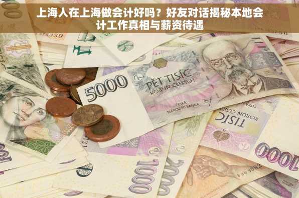 上海人在上海做会计好吗？好友对话揭秘本地会计工作真相与薪资待遇