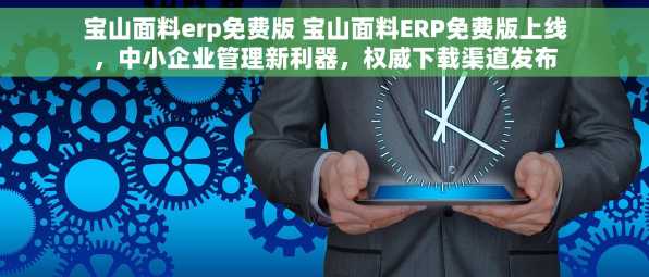 宝山面料erp免费版 宝山面料ERP免费版上线，中小企业管理新利器，权威下载渠道发布