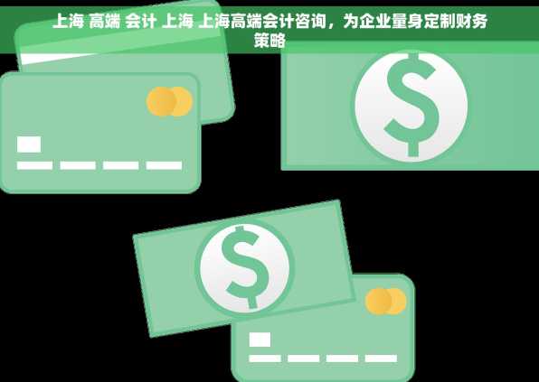 上海 高端 会计 上海 上海高端会计咨询，为企业量身定制财务策略