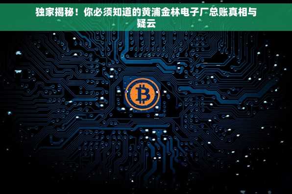 独家揭秘！你必须知道的黄浦金林电子厂总账真相与疑云