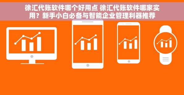 徐汇代账软件哪个好用点 徐汇代账软件哪家实用？新手小白必备与智能企业管理利器推荐
